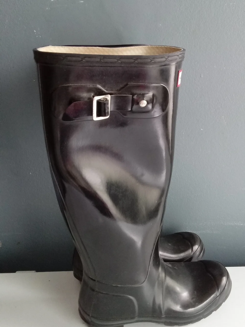 Hunter classic tall